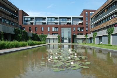 koe07.jpg